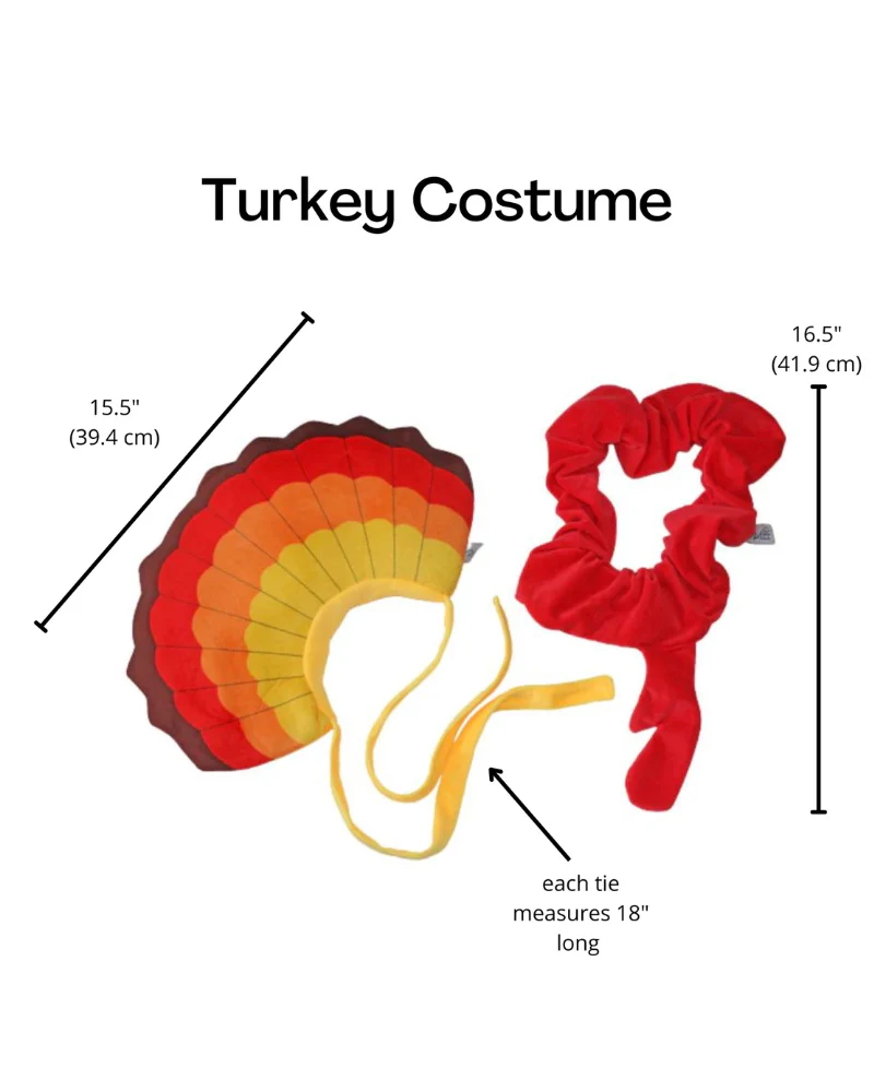 Thanksgiving Turkey Costume for Dogs - Image 6