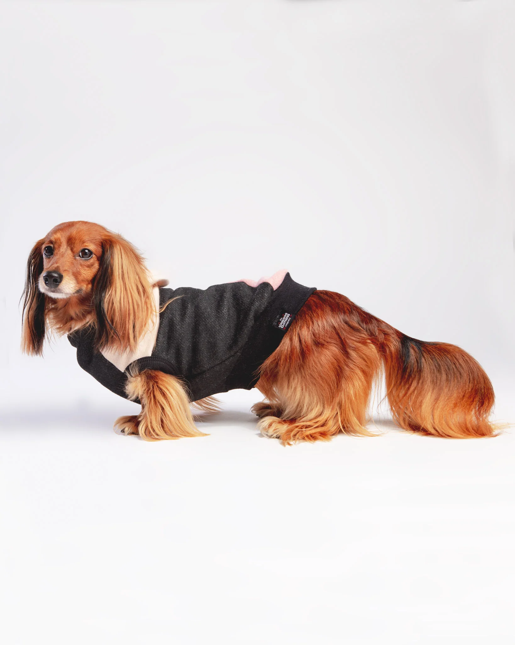 The Boombayah Cotton Hoodie for Long Dogs (Made in the USA) << FINAL SALE >> - Image 3