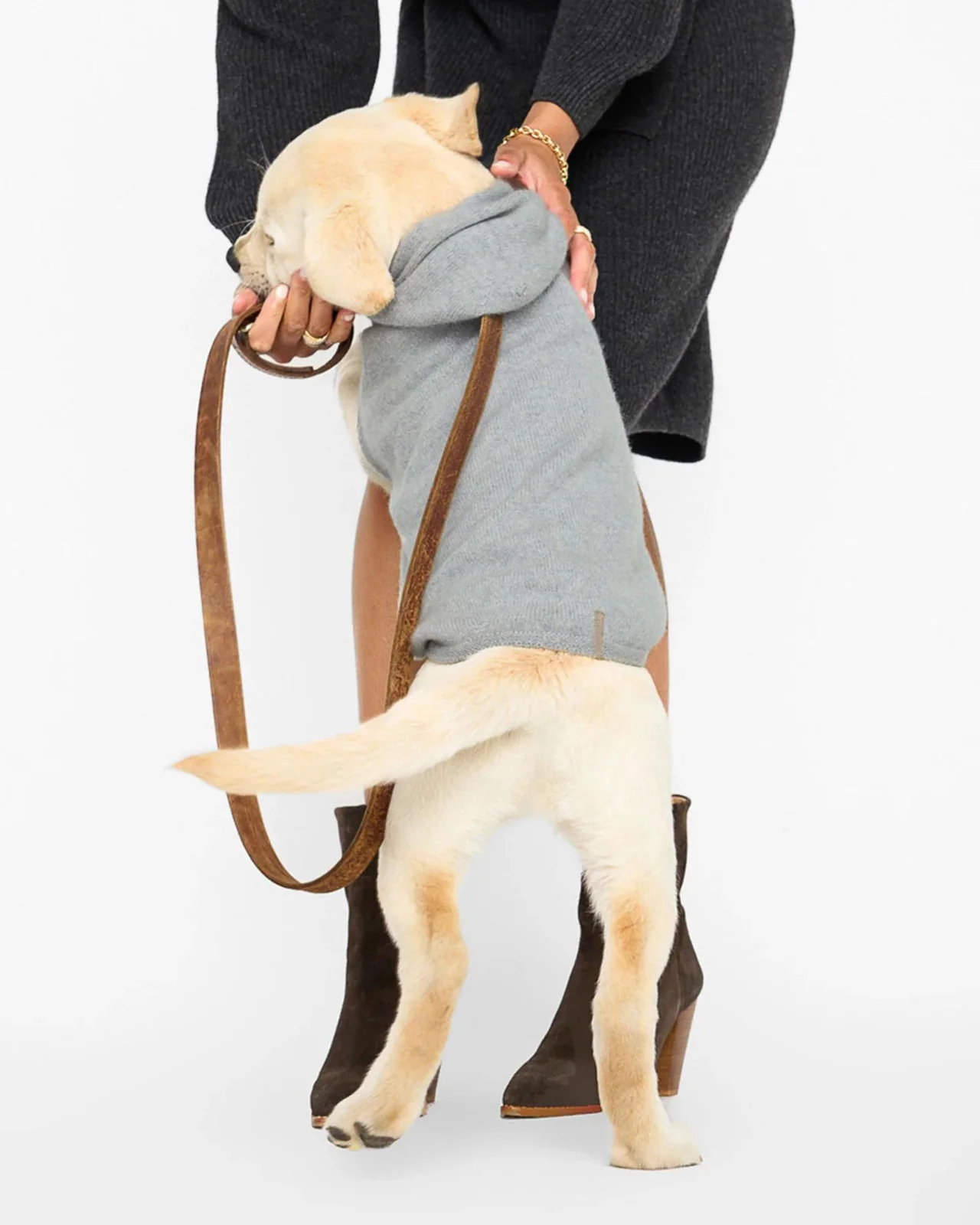 The Cashmere Dog Hoodie Dog & Co x Brochu Walker Exclusive - Image 4
