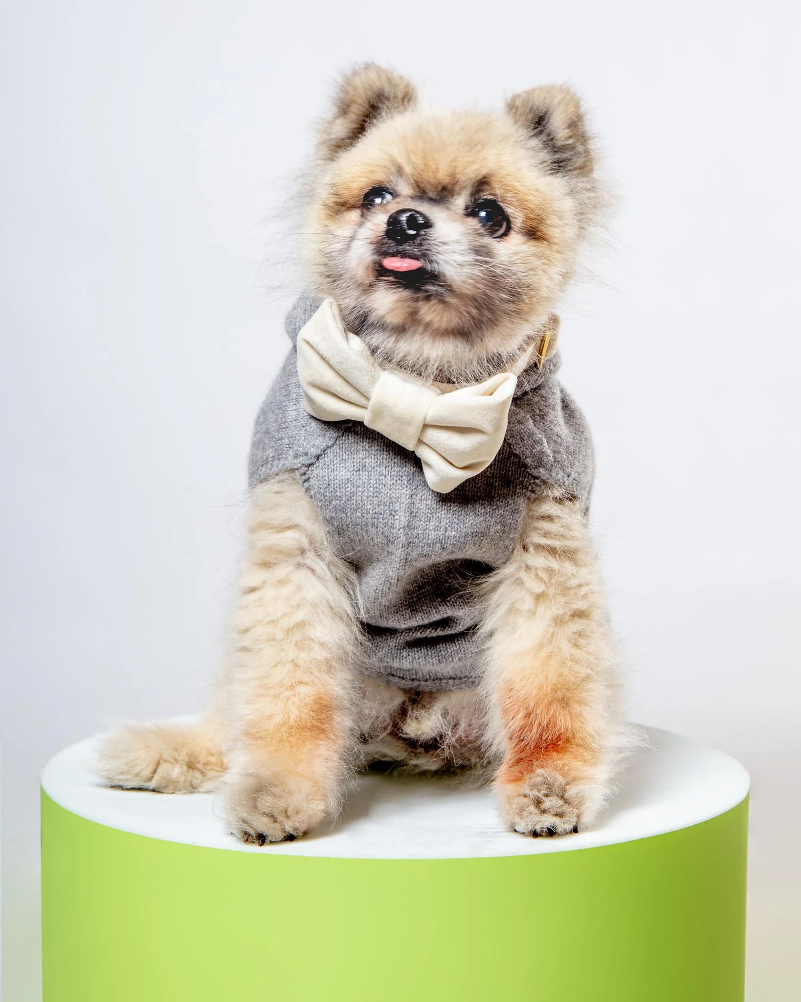 The Cashmere Dog Hoodie Dog & Co x Brochu Walker Exclusive - Image 9