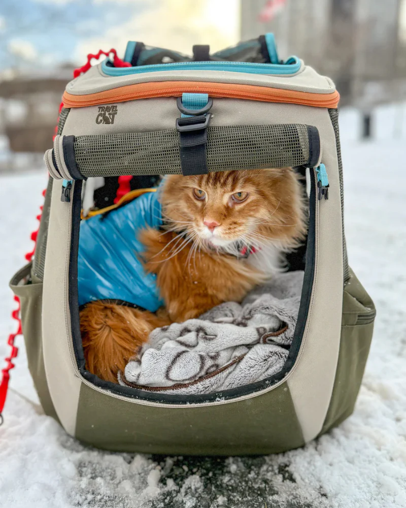 "The Catagonia" Water-Resistant Harness Puffer Jacket for Cats - Image 3