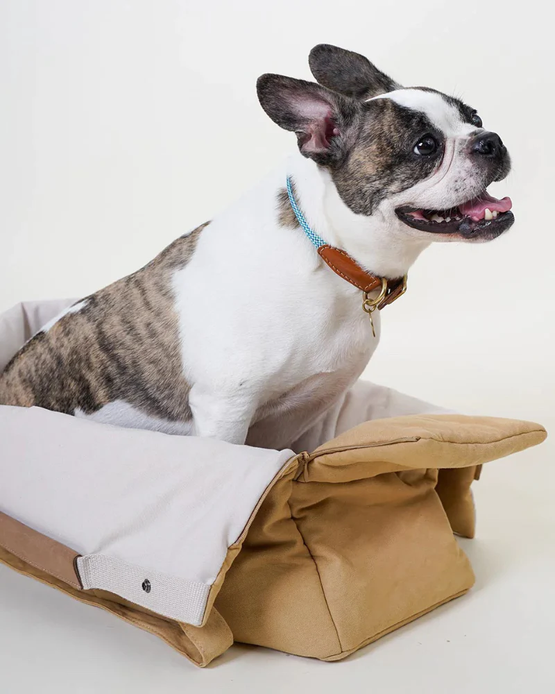 The Day Carrier Pet Tote (FINAL SALE) - Image 4