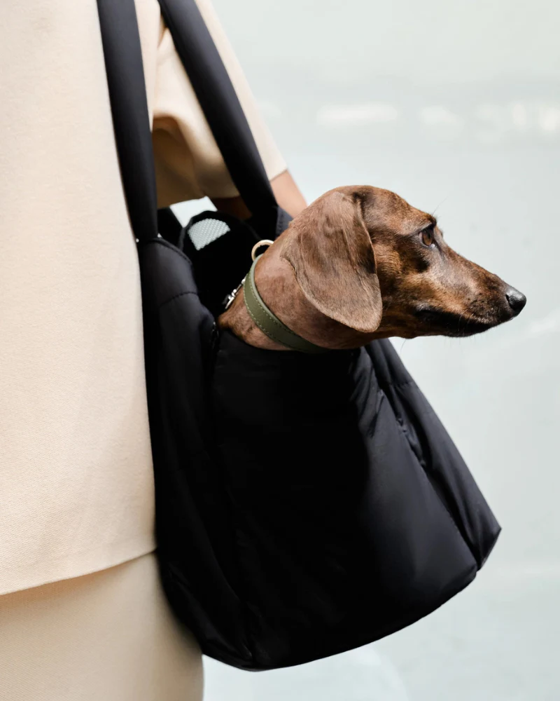 The Destination Pet Carrier Tote (Enclosed) - Image 3