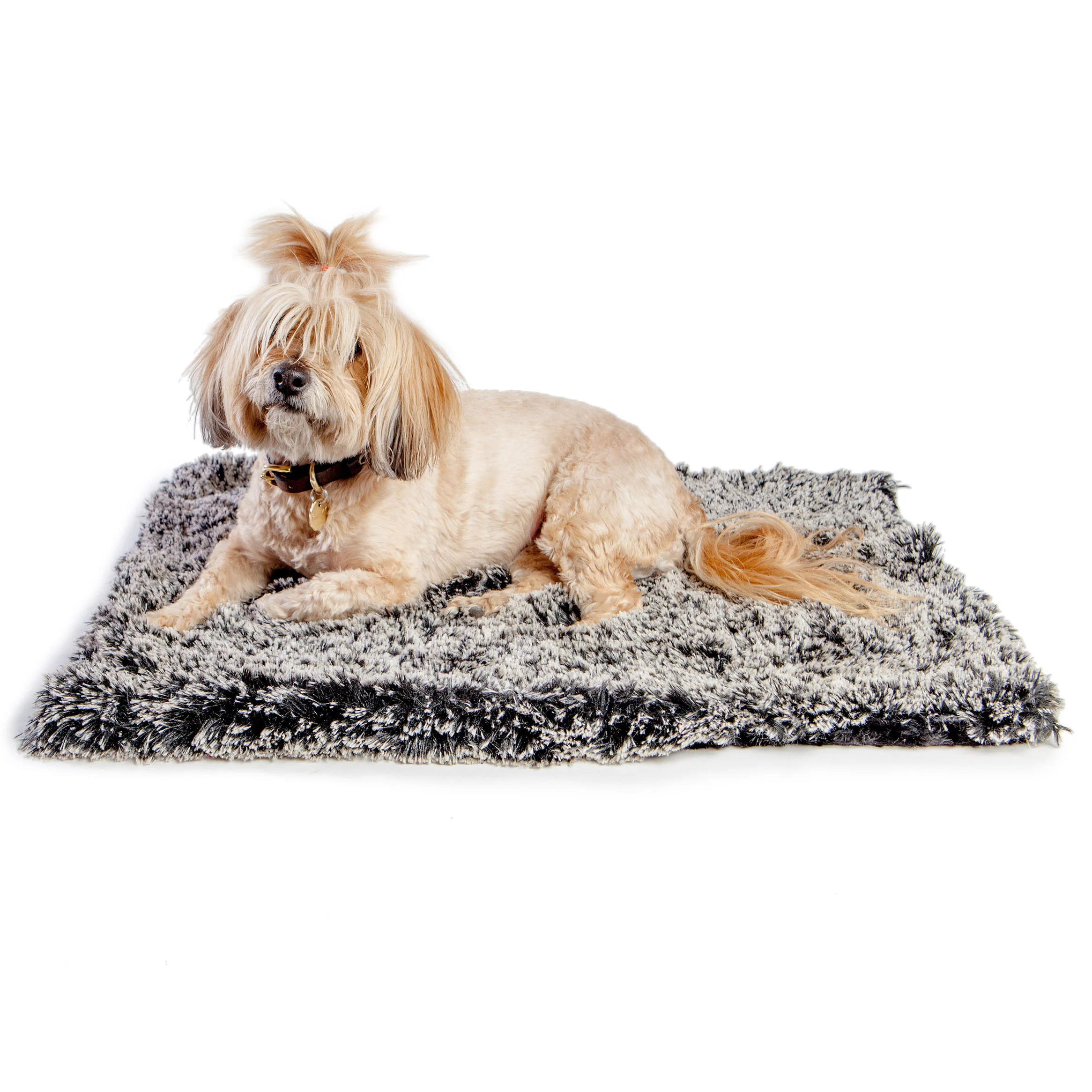 Black Powder Puff Plush Dog Blanket - Image 3