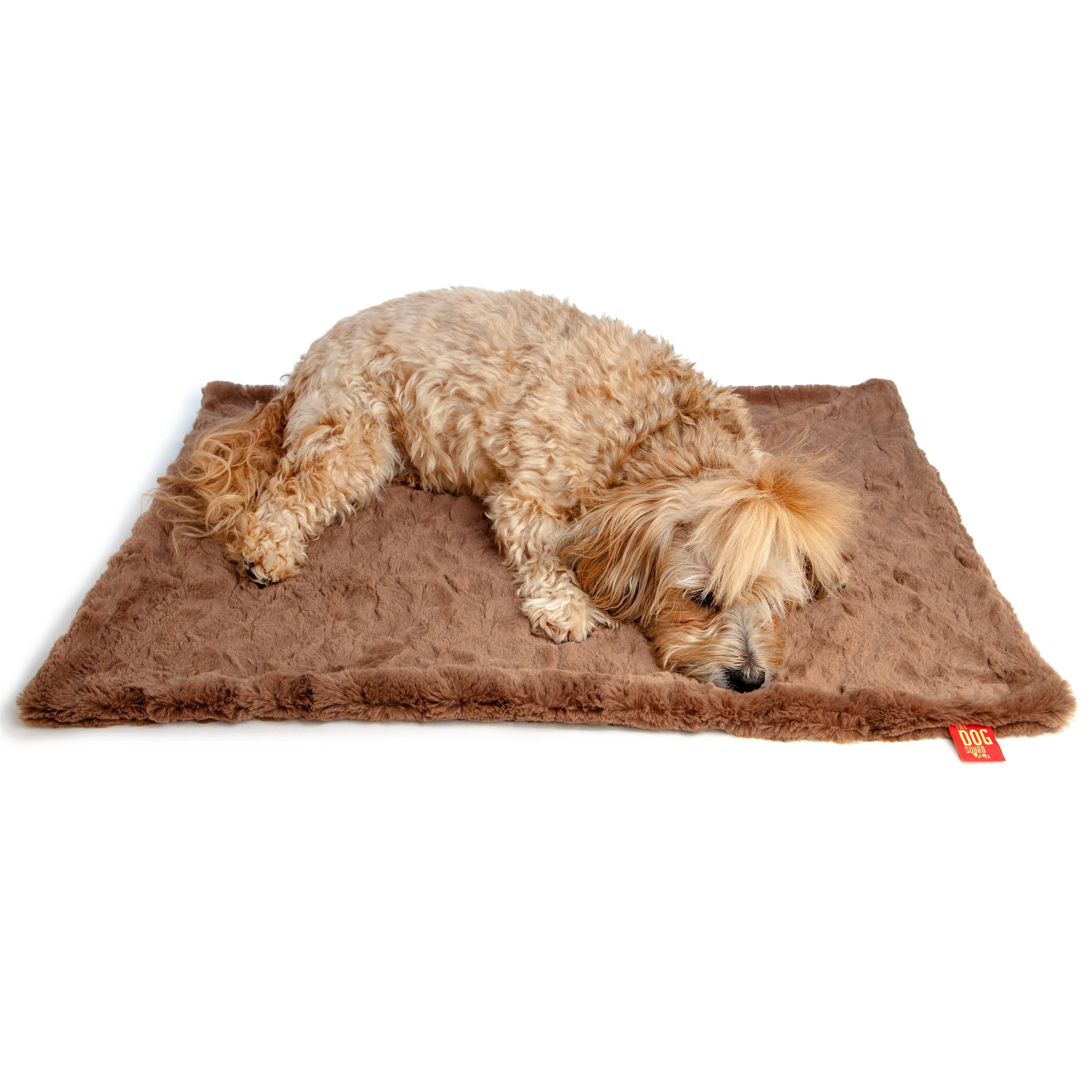 THE DOG SQUAD | Mocha Minkie Blanket