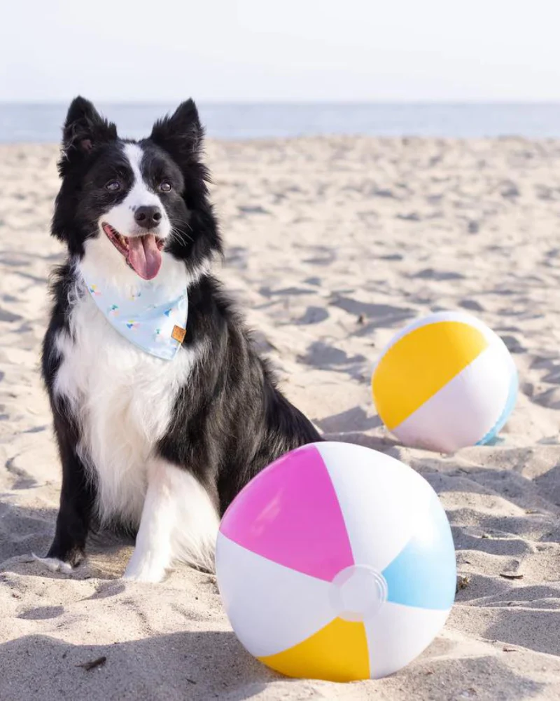 Beach Ball Dog Bandana<br>(Made in the USA) (FINAL SALE) - Image 2