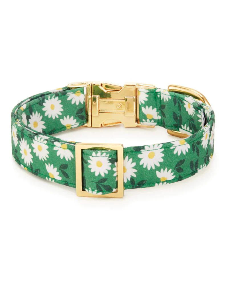 Coming Up Daisies Dog Collar<br>(Made in the USA) - Image 2