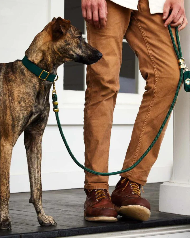 Evergreen Marine Rope Dog Leash (Made in the USA) - Image 3