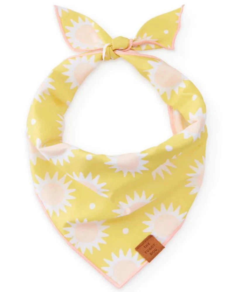 Fun in the Sun Dog Bandana (Made in the USA) (FINAL SALE) - Image 2