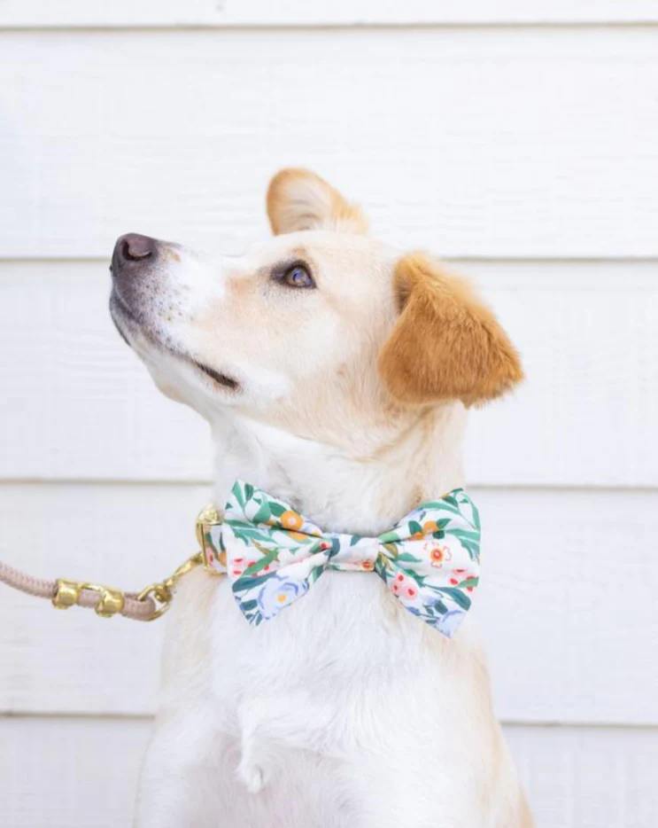 Gathered Floral Print Dog Bow Tie (Made in the USA) << CLEARANCE >> - Image 7