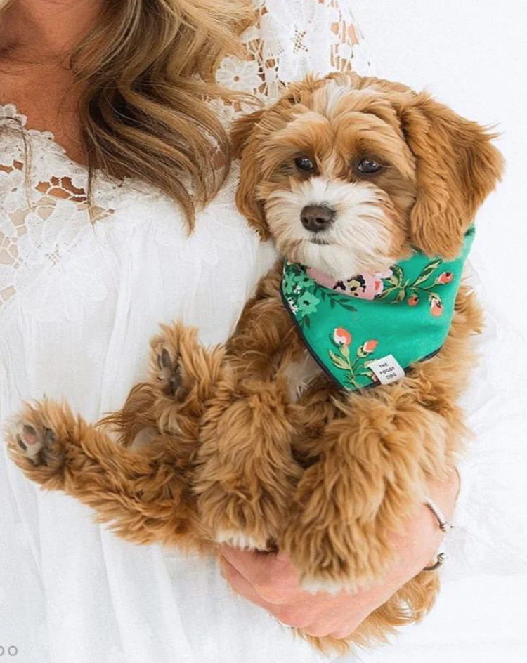 Georgia Floral Dog Bandana (Made in the USA) << FINAL SALE >> - Image 4