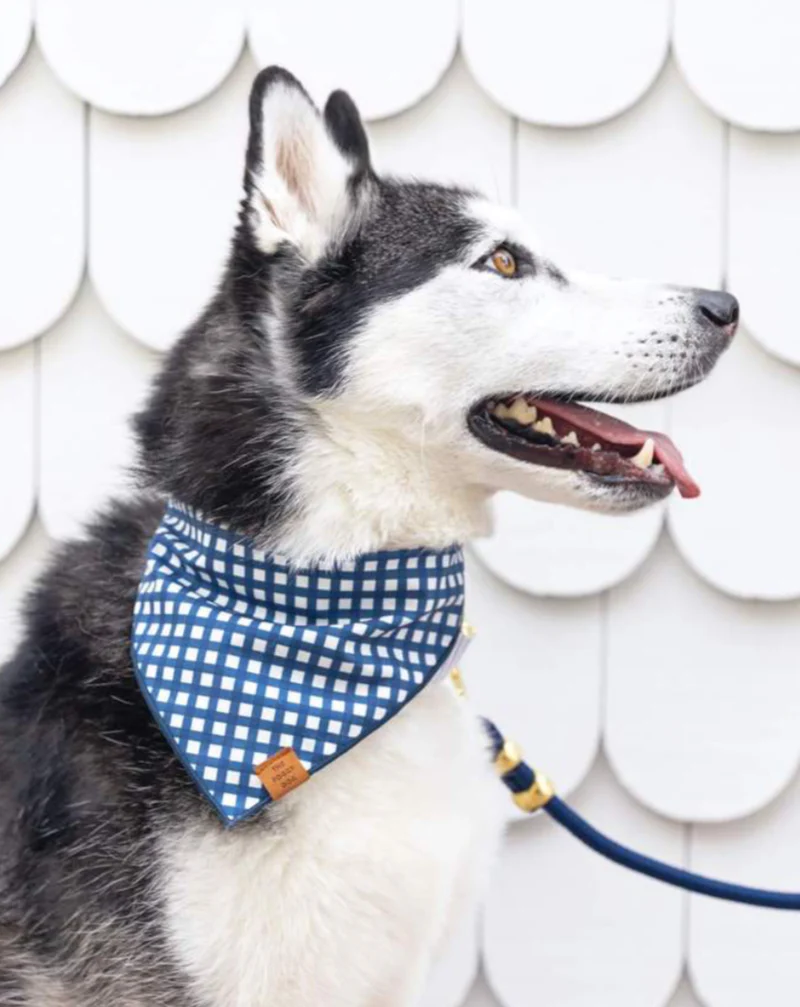 Navy Gingham Dog Bandana (Made in the USA) (FINAL SALE) - Image 2
