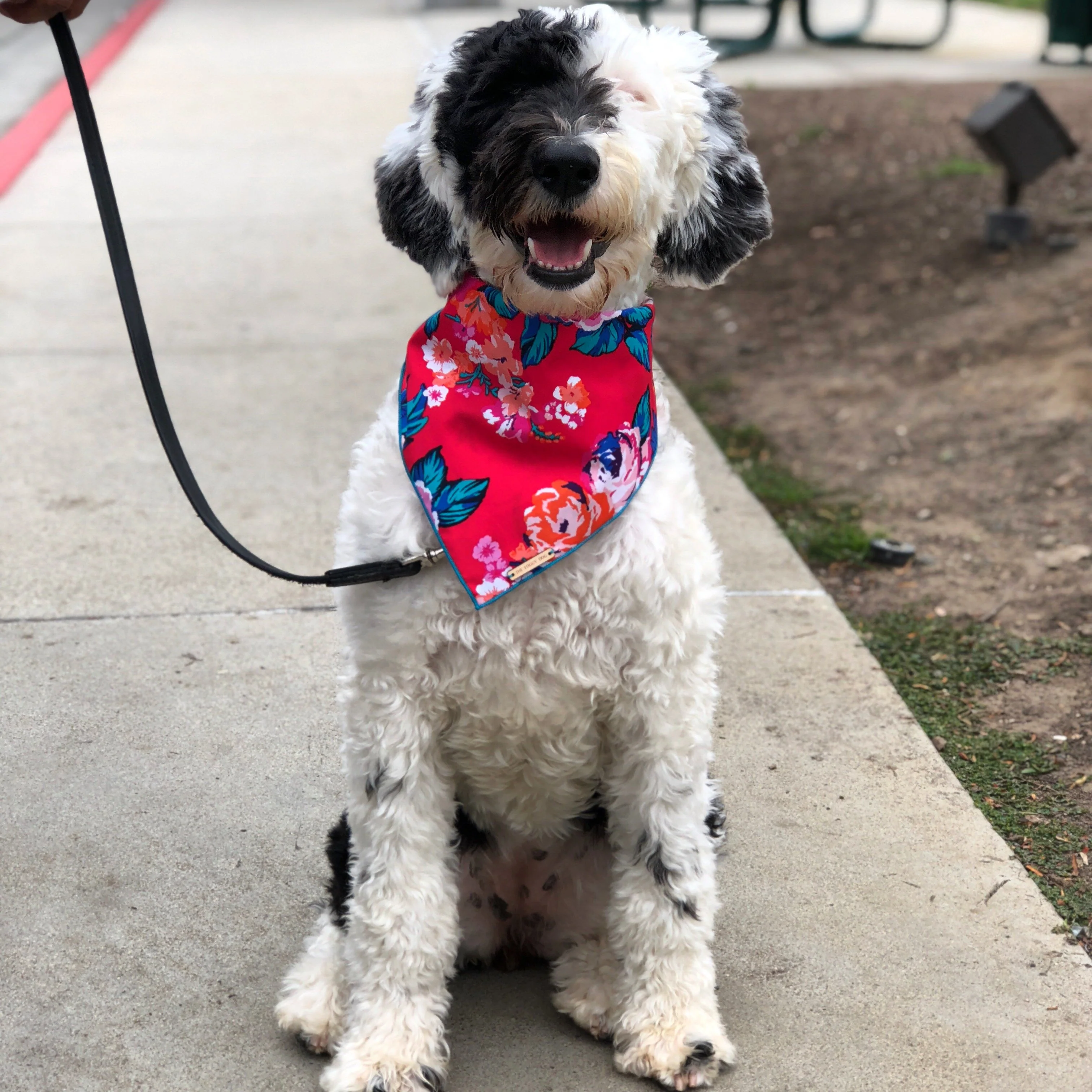 THE FOGGY DOG | Pink Posies Bandana - Image 3