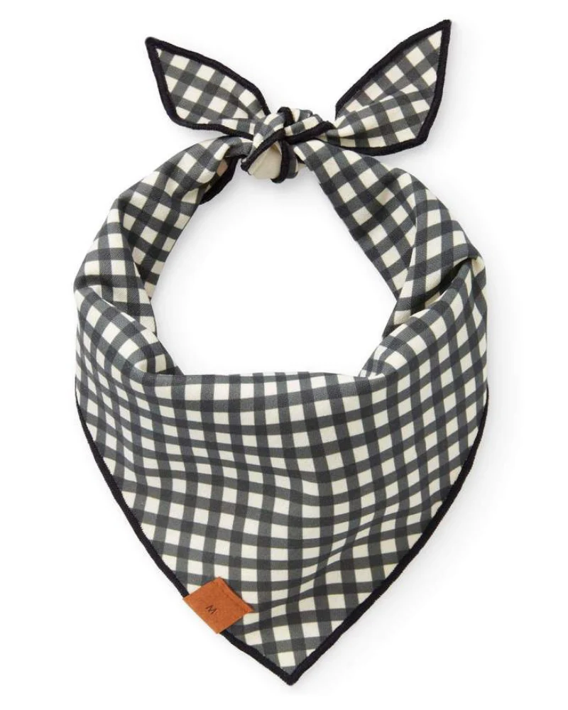 Pumpkin Patch Reversible Dog Bandana (Made in the USA) - Image 2