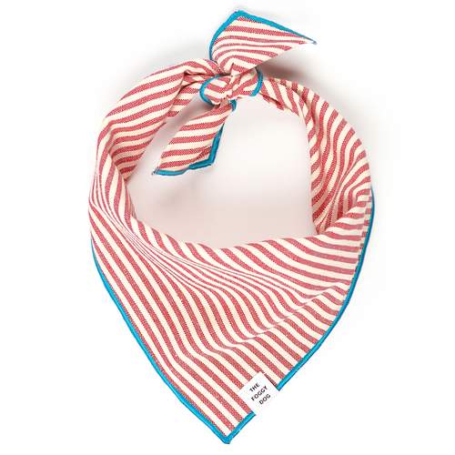 Red Stripe Blue Trim Dog Bandana