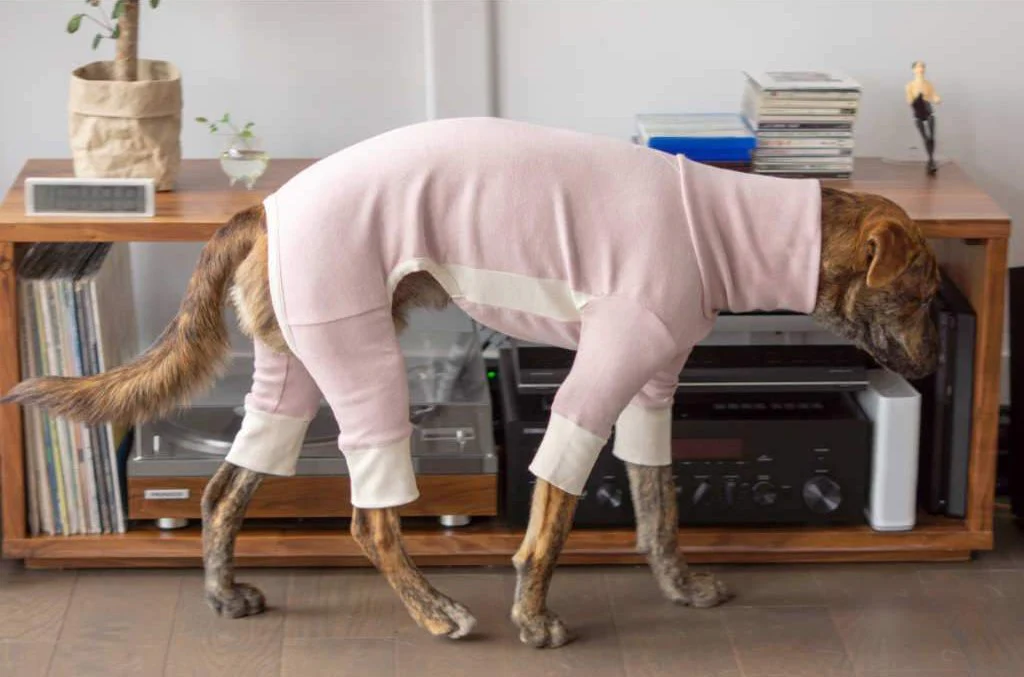 THE FURRYFOLKS | High Neck Jumpsuit in Blush - Image 2