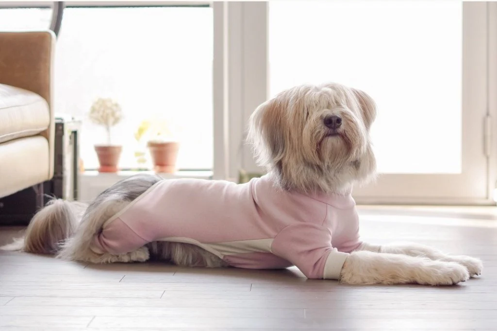 THE FURRYFOLKS | High Neck Jumpsuit in Blush - Image 4