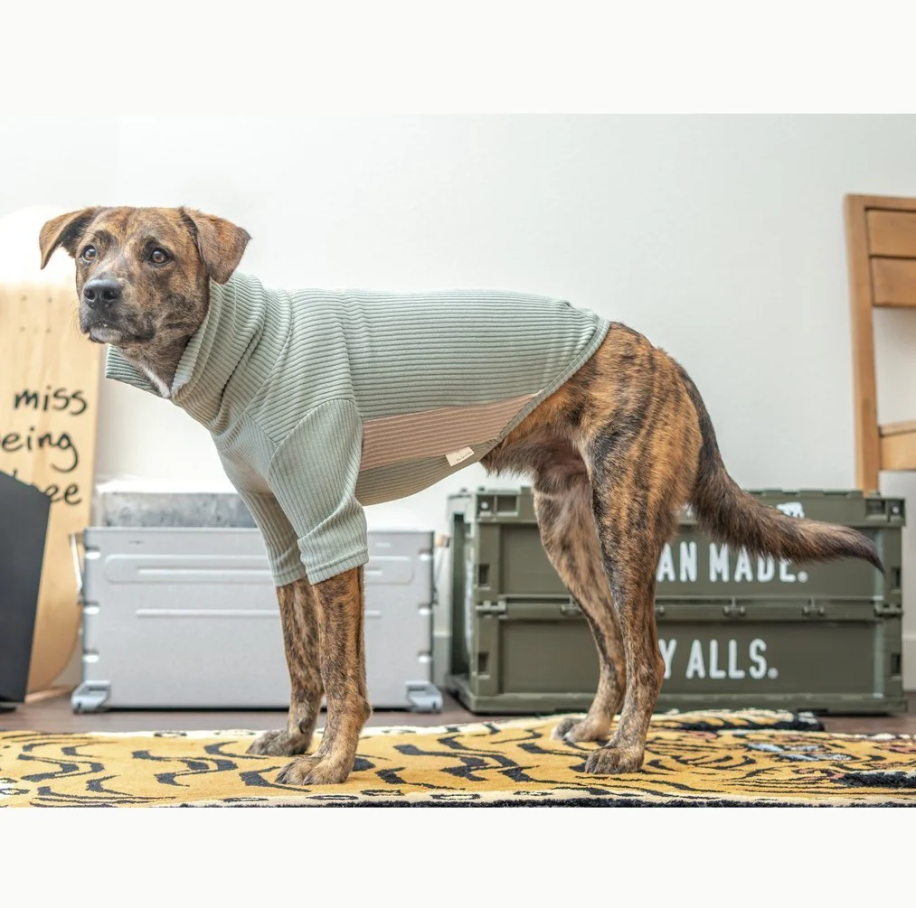 High Neck Dog Tee in Sage Green (FINAL SALE) - Image 3