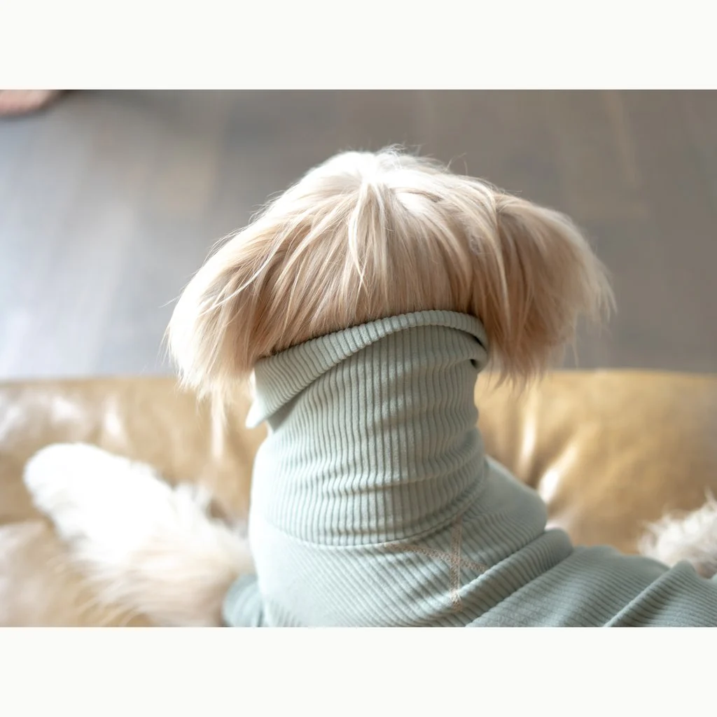 High Neck Dog Tee in Sage Green (FINAL SALE) - Image 6