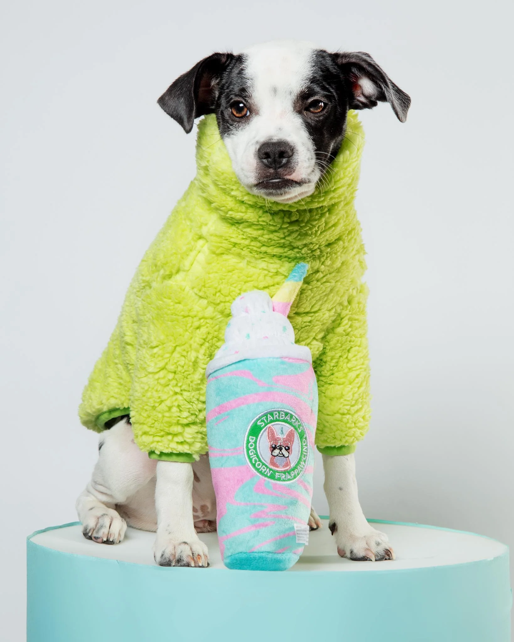 The Highlighter Fleece Sweatshirt (FINAL SALE) - Image 5