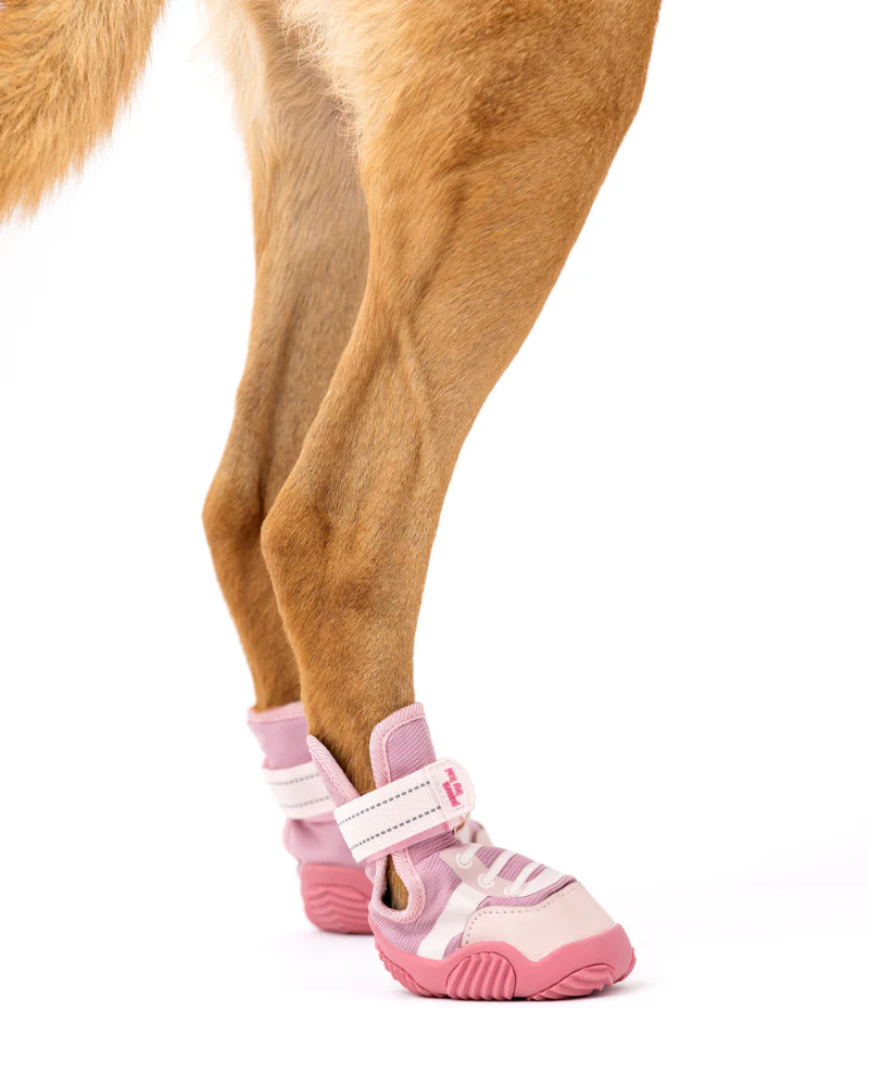 The Kai - Protective Footwear for Dogs in Black or Pink - Image 13