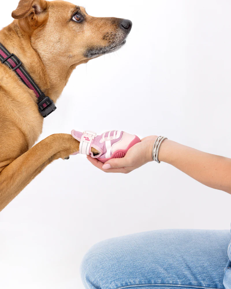 The Kai - Protective Footwear for Dogs in Black or Pink - Image 14