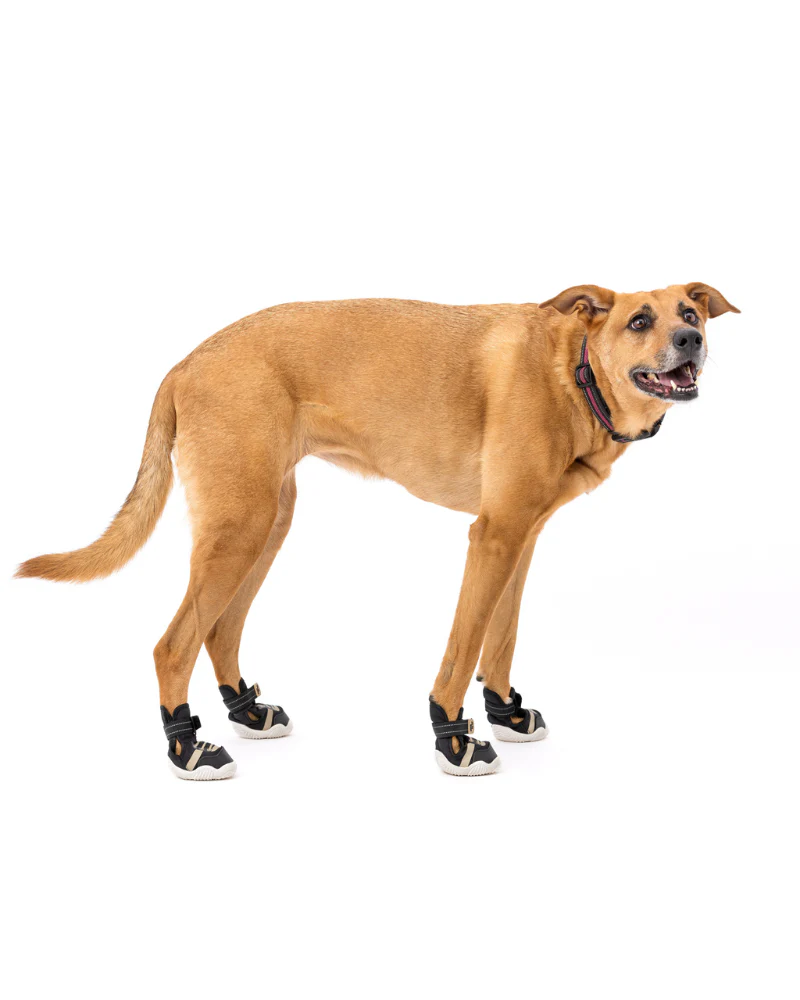 The Kai - Protective Footwear for Dogs in Black or Pink - Image 15