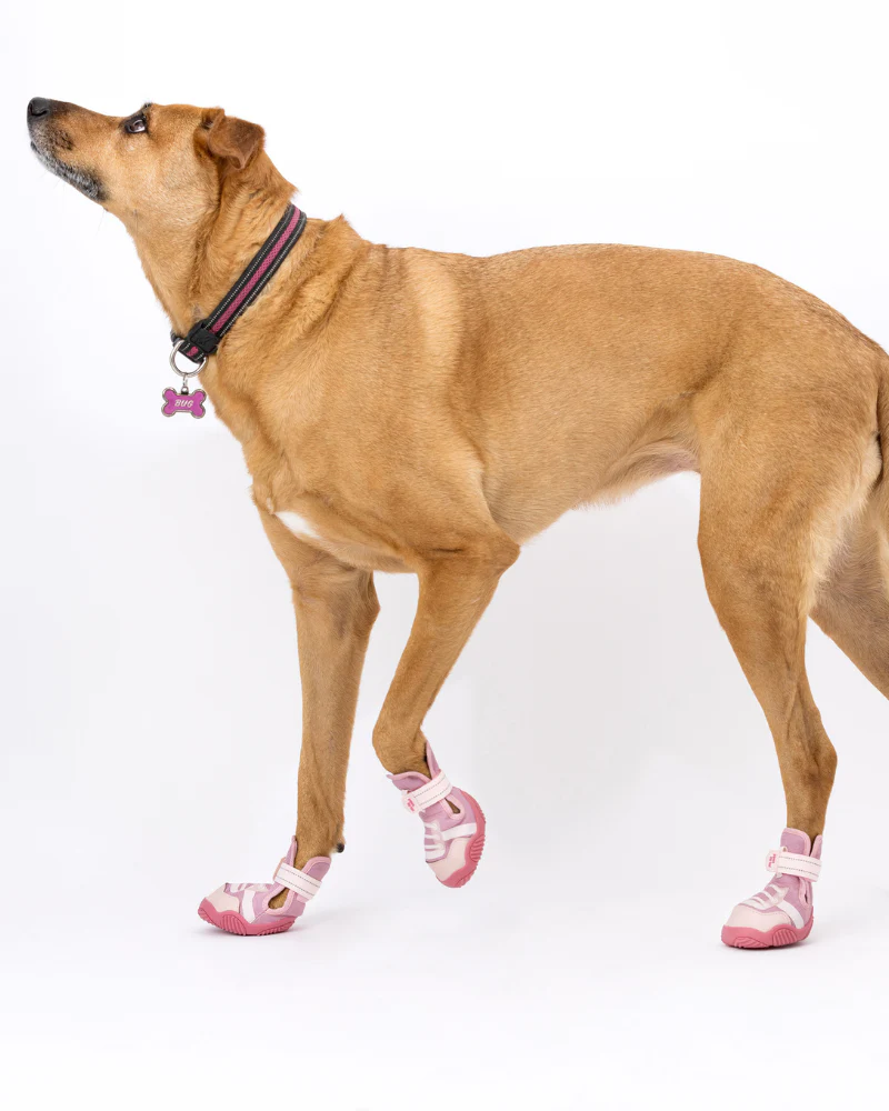 The Kai - Protective Footwear for Dogs in Black or Pink - Image 7