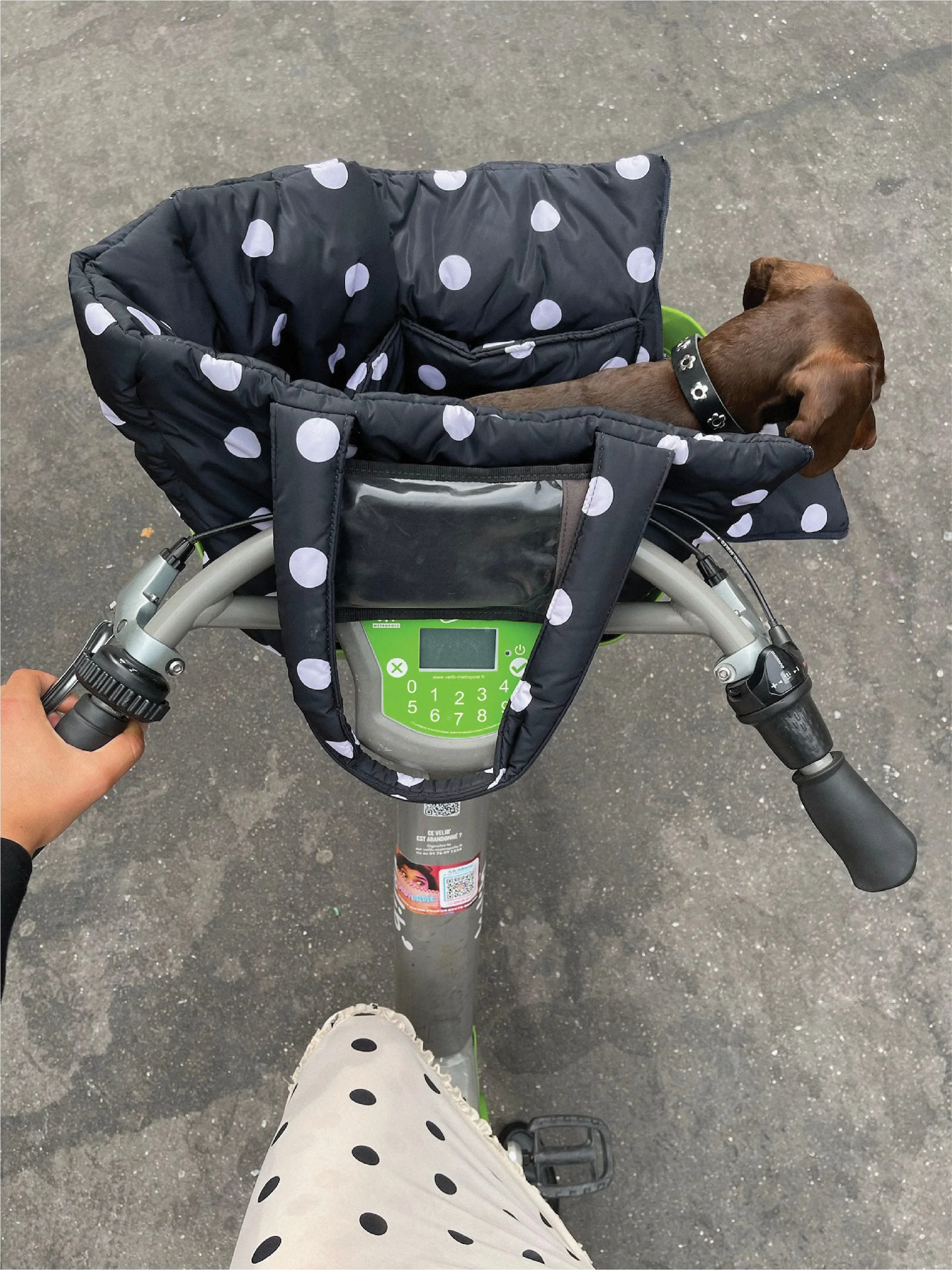The Little Beast Dog Carrier in Betty - Image 4