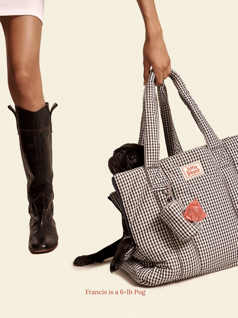 The Little Beast Dog Carrier in Noir - Image 4