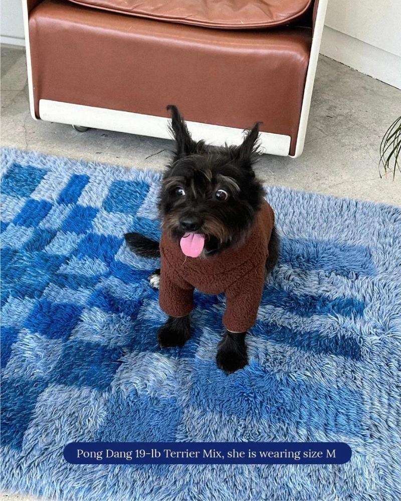 The Magic Brownie Fleece Dog Sweatshirt (FINAL SALE) - Image 4