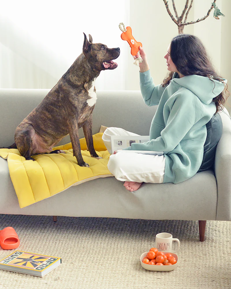 The Mellow Mat for Dogs & Cats (Made in the USA) (FINAL SALE) - Image 3