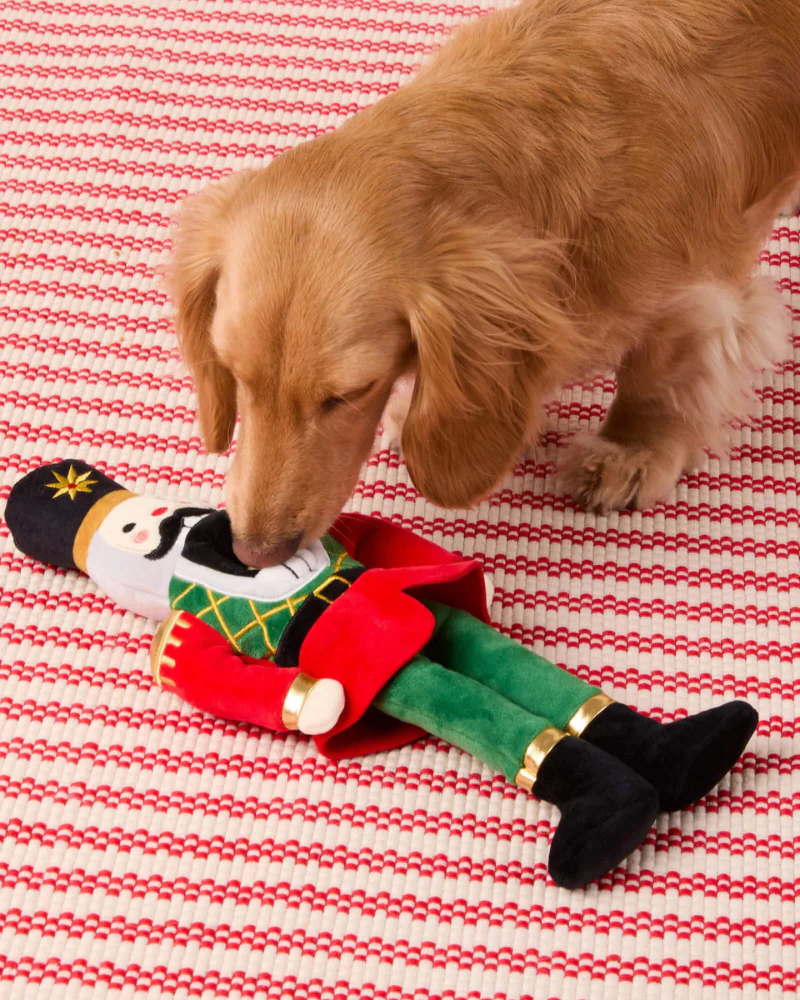 The Nutcracker Crinkly Plush Dog Toy - Image 5