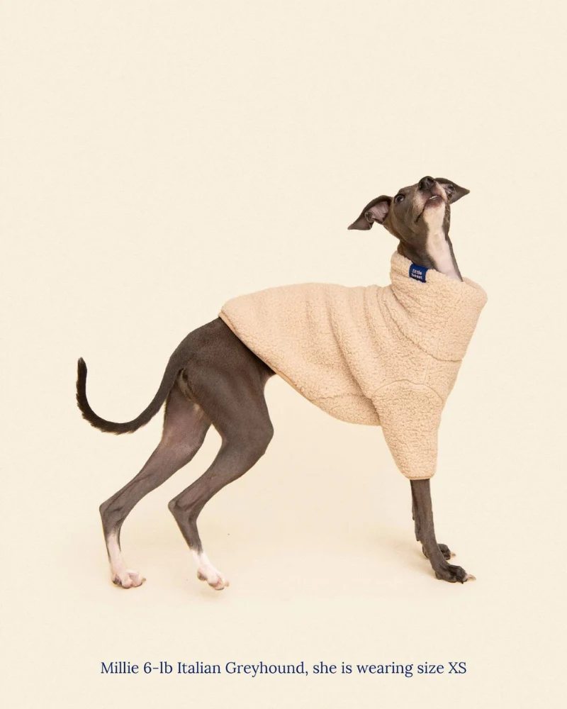 The Pablo Fleece Dog Sweatshirt (FINAL SALE) - Image 4