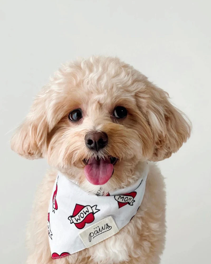 Love MOM Dog Bandana