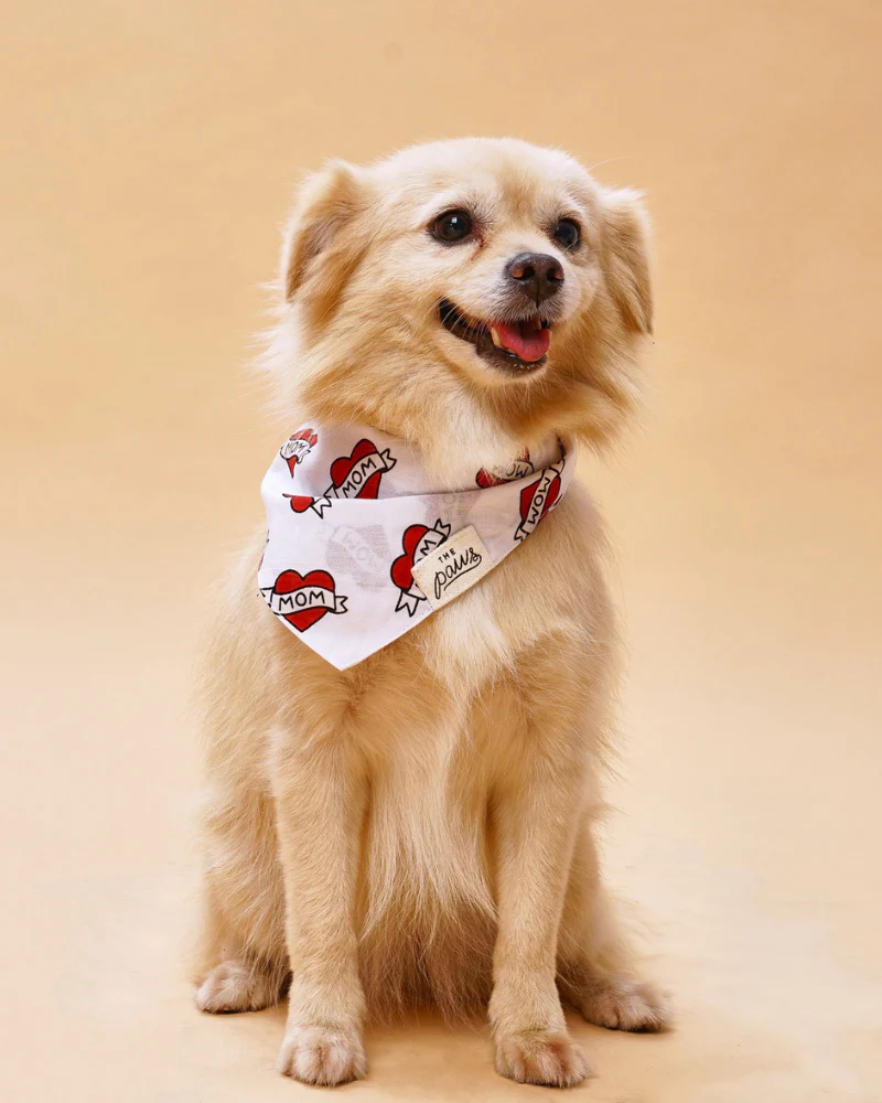 Love MOM Dog Bandana - Image 2