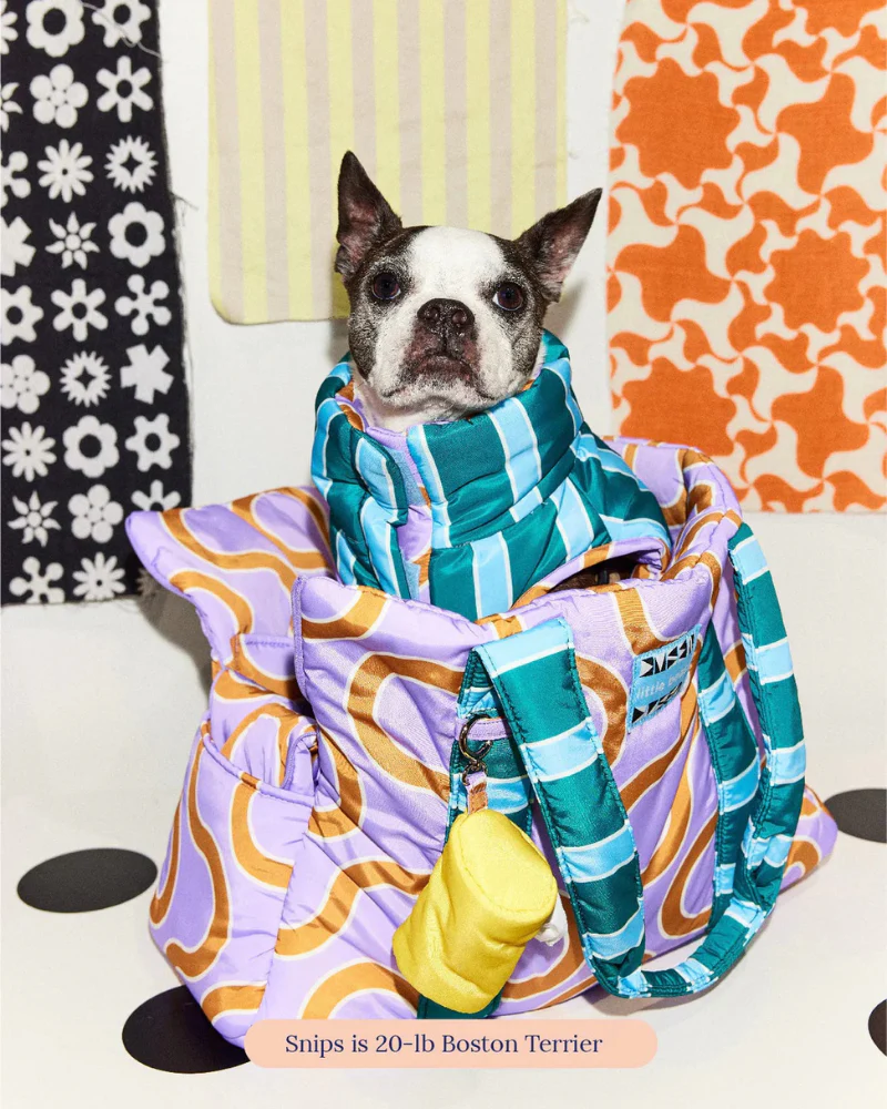 The Piscine Pet Carrier - (Little Beast x Dusen Dusen) - Image 3