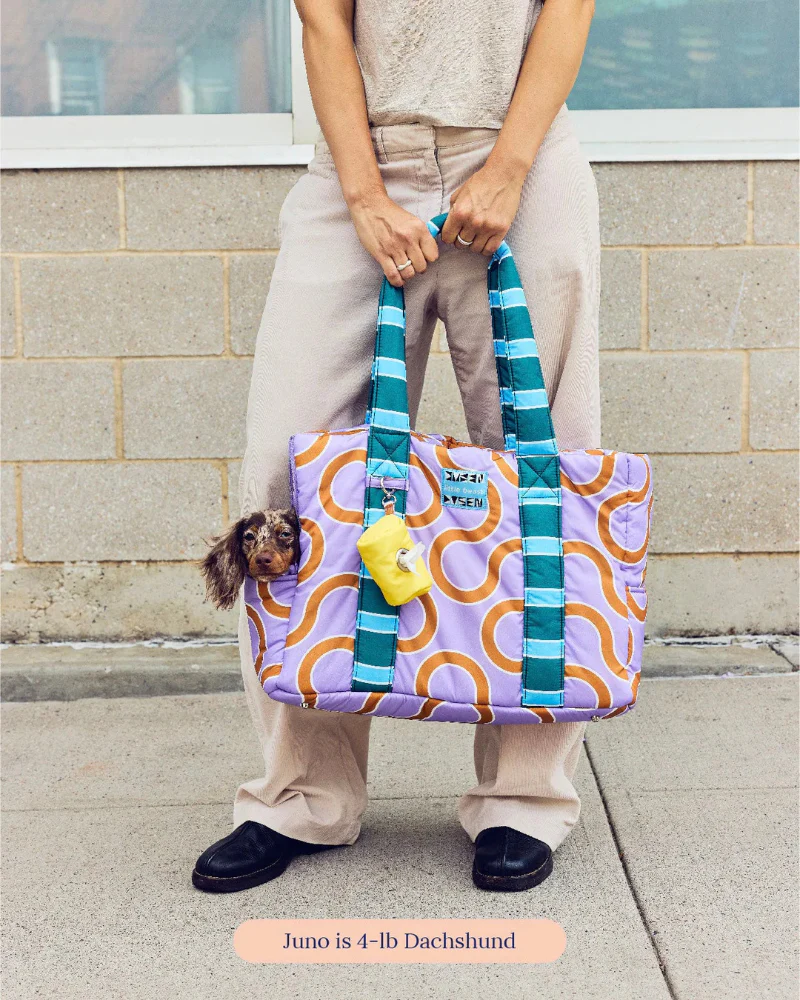 The Piscine Pet Carrier - (Little Beast x Dusen Dusen) - Image 4