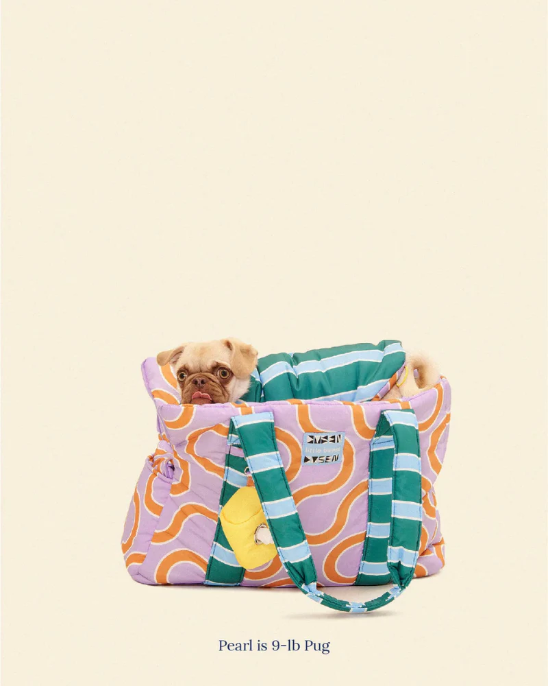The Piscine Pet Carrier - (Little Beast x Dusen Dusen) - Image 5