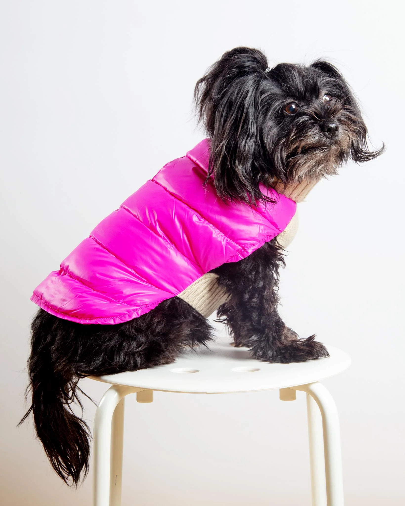The Puffer Dog Sweater in Tan & Pink