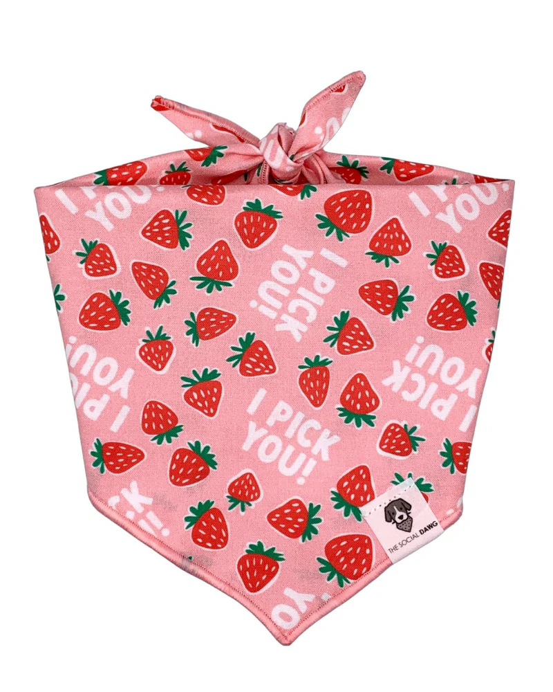 I Pick You! Strawberry Dog Bandana<br>(Made in the USA) (FINAL SALE) - Image 3