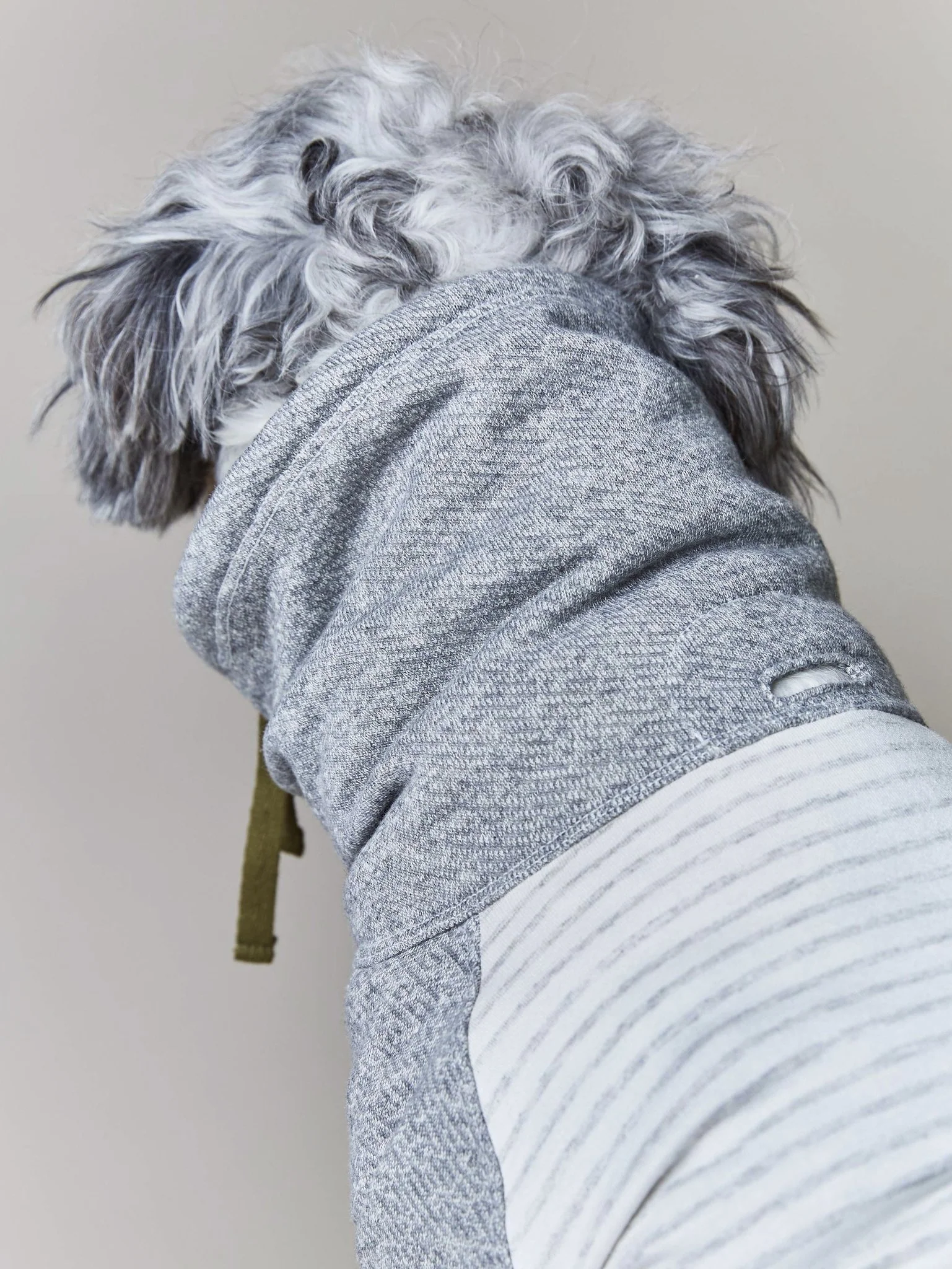 Oxford Stripe Dog Funnel Neck Pullover<br>((CLEARANCE) - Image 5