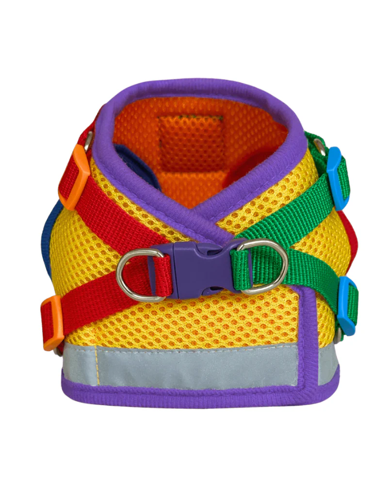 "The True Adventurer" Reflective Cat & Kitten Harness and Leash in Multicolor - Image 2
