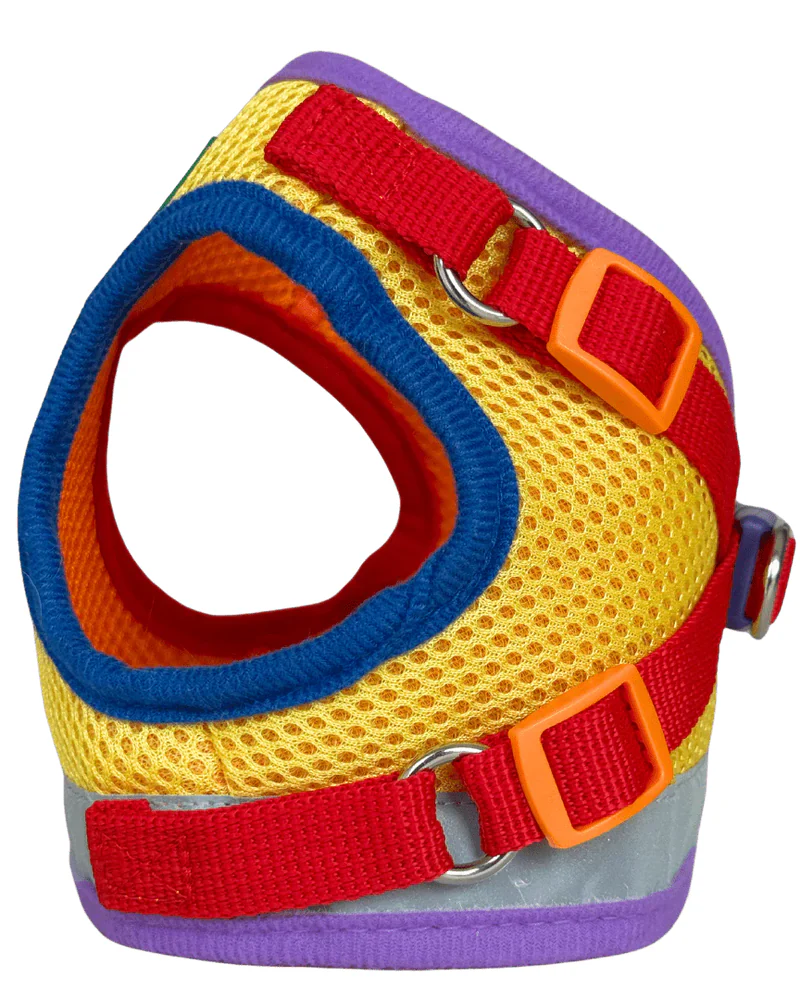 "The True Adventurer" Reflective Cat & Kitten Harness and Leash in Multicolor - Image 5