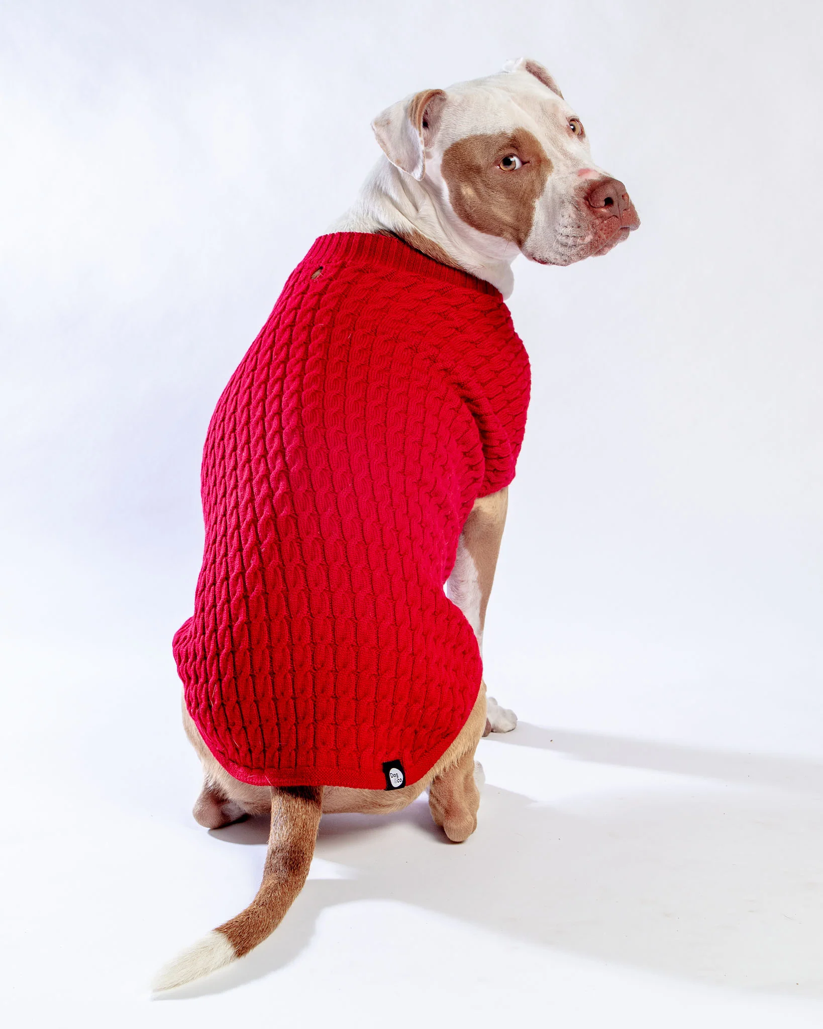 The Uptown Cable Knit Sweater in Red Cotton (Made in NYC) - Image 3