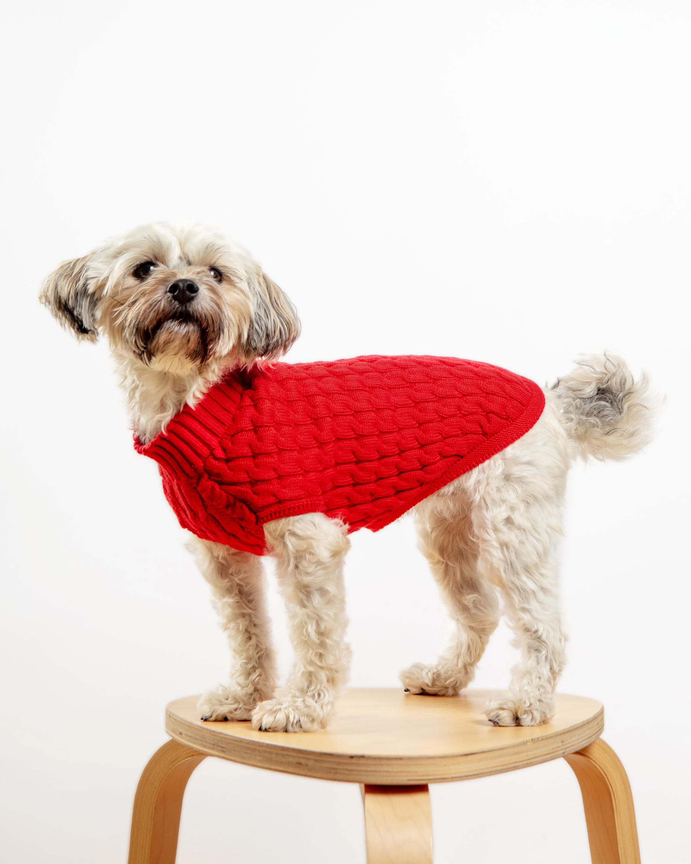 The Uptown Cable Knit Sweater in Red Cotton (Made in NYC) - Image 4