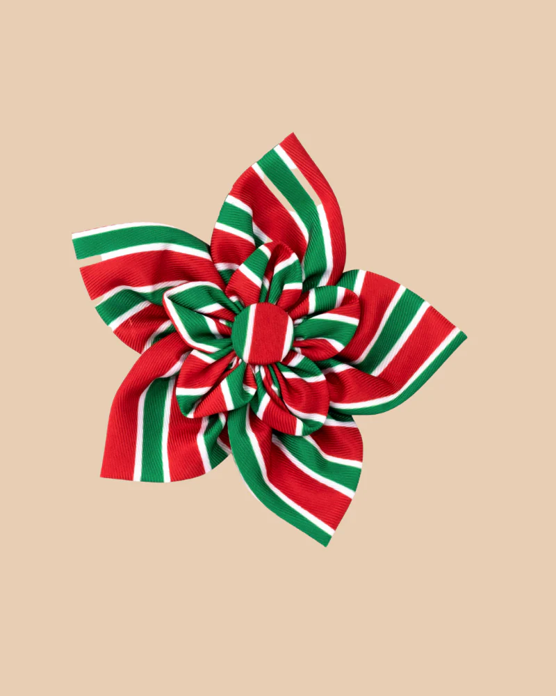 Christmas Collar/Harness Flower in Holiday Stripe << FINAL SALE >>