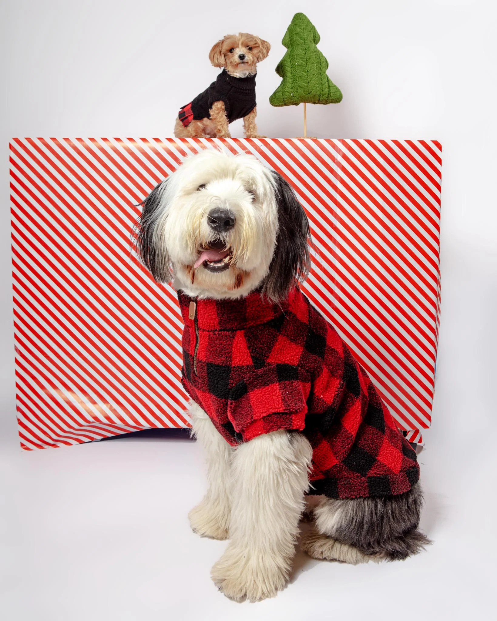 Wubby Quarter-Zip Dog Fleece in Buffalo Plaid (CLEARANCE) - Image 6