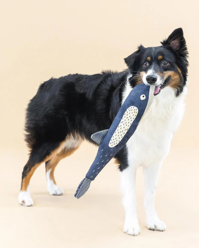 There She Blows Canvas Whale Dog Toy - Image 3