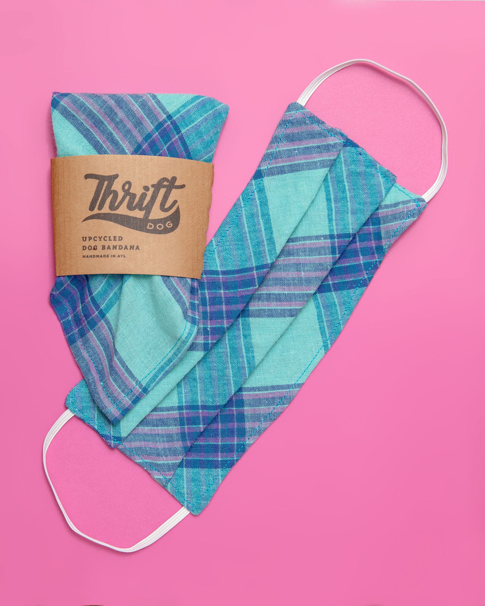 Face Mask & Dog Bandana Set in Teal Plaid